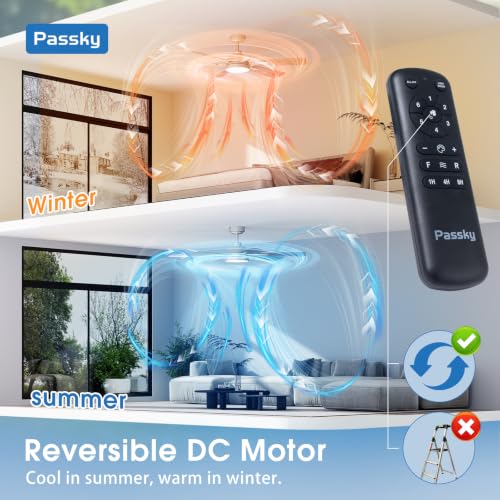 Passky 52 Inch Nickel Ceiling Fan with Lights & Remote - Modern 6-Blade Design