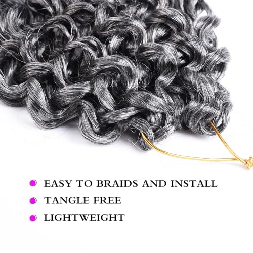 Grey Water Wave Crochet Hair Extensions - 14 Inch Silke Gogo Curl Pack for Women - Tgrey