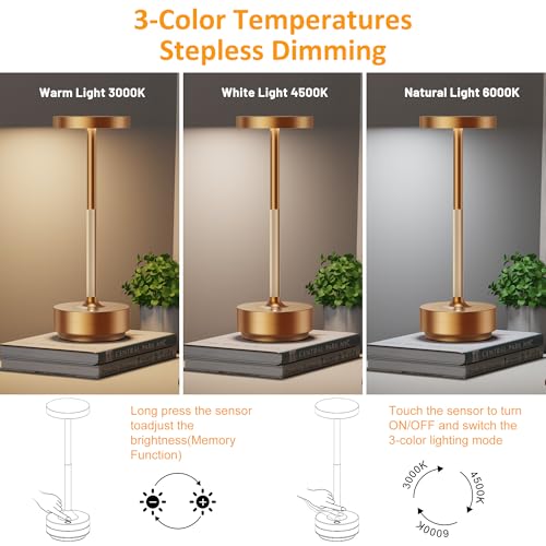 SAKRINGT 2 Pack Rechargeable LED Cordless Table Lamps Outdoor Indoor Waterproof