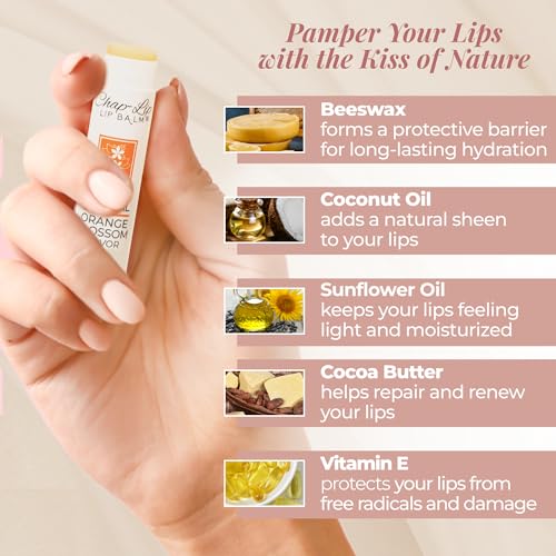 100% Natural Lip Balm Set - Hydrating and Moisturizing Beeswax Natural 4 Flavor Assortment - Lip Moisturizer for Dry Lips - Cocoa Butter - Petroleum Free Pack of 24