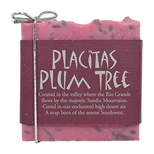 Company Handmade Soap 2 Pack (Placitas Plum)