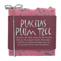 Company Handmade Soap 2 Pack (Placitas Plum)