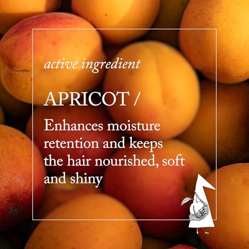 Refill Size Moisturizing Gel Shampoo for Dry Hair - Hydrating Apricot Formula, Gentle Cleanser, Restores Softness & Shine - Enhanced