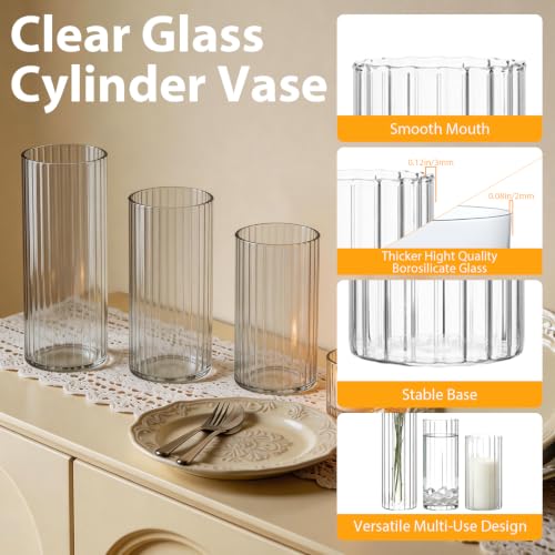 Trxvxo 24 Pcs Ribbed Glass Vases & Hurricane Holders - 2.5" Wide, 5/6/8" Heights