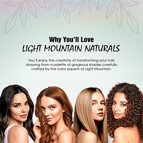 Neutral Henna Hair Dye & Conditioner - 100% Natural Botanical Shine 16 Oz