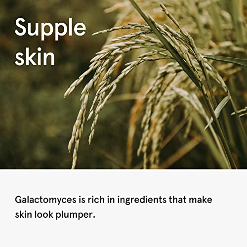 Galactomyces Ferment Toner - Hydrating Brightening Facial Essence for Clear Skin