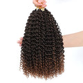 Dansama Passion Twist Water Wave Crochet Hair 12 Inch - Pack of 6, T1B/30