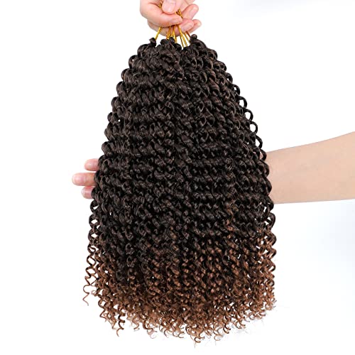 Dansama Passion Twist Water Wave Crochet Hair 12 Inch - Pack of 6, T1B/30