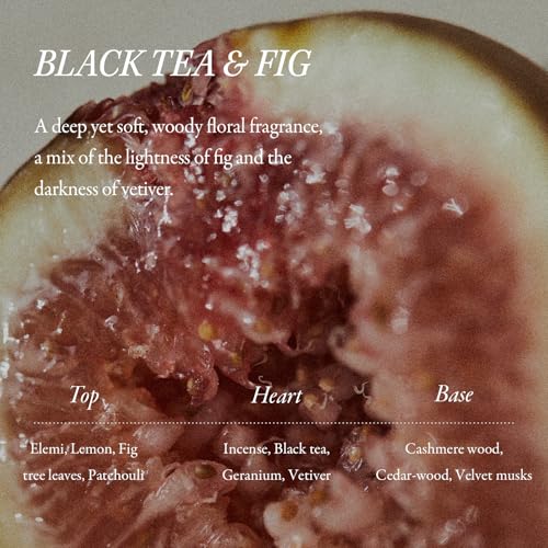 LONGTAKE Black Tea & Fig Hair Softening Shampoo with Peptides - Split End Control, Anti-Frizz, Light Volumizing, 10.1 Fl Oz