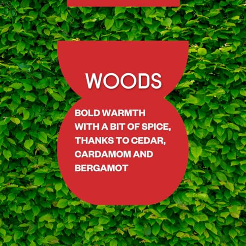 Miles 3-in-1 - Woods - 16 oz