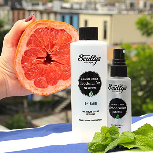 Natural Deodorant Refill - Mint & Grapefruit, 9oz, Aluminum-Free, Long-Lasting
