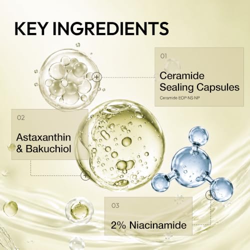 Lift Up Korean Anti-Aging Face Cream for Men - Firming & Pore Care
