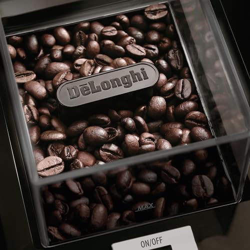 Stainless Steel Burr Coffee Grinder, Silver - 4 to 12 Cups, Precise Grinding