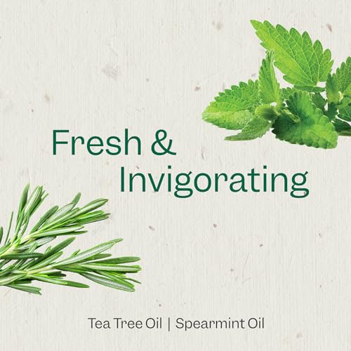 Tea Tree & Mint Body Wash - 24 Fl Oz Each, Pack of 2 - Verde Variation