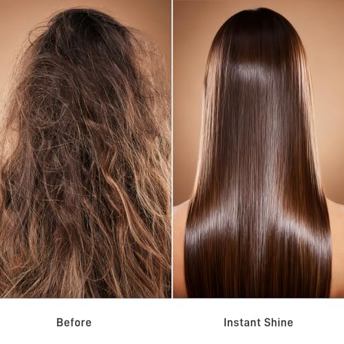 Salmon DNA Hair Oil with Argan & Jojoba for Deep Repair & Shine - Heat Protectant, Frizz Control, Lightweight - 2.03 fl oz