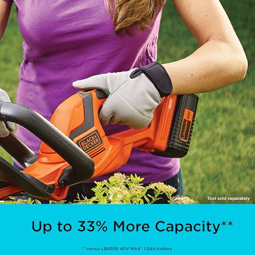 BLACK+DECKER 40V MAX 2.0Ah Lithium Ion Battery for Outdoor Power Tools - Compatible with 36V/40V, Model LBX2040, Lightweight, No Charger