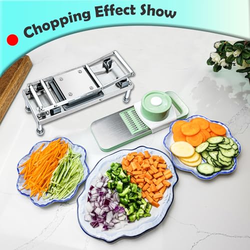 Moeuonb All-in-1 Vegetable Chopper with 8 Blades - Food Slicer & Dicer, Salad & Onion Chopper, Potato French Fry Cutter, Stainless Steel