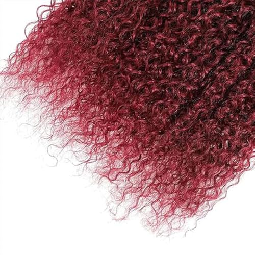 Ratheinhi Burgundy Human Hair Bundles Curly Wave 26-30 Inch, 99J Color, 300g Virgin Brazilian Hair