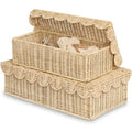 Decorative Storage Boxes with Lid - Natural Rattan, Set of 2, 14x8x4 in