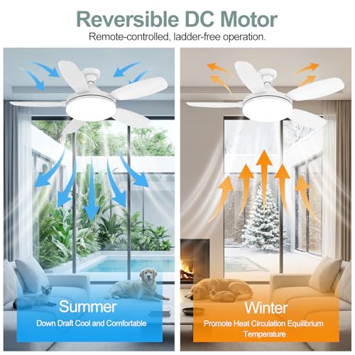 White 32-inch Socket Ceiling Fan with Light, Reversible Motor & Remote