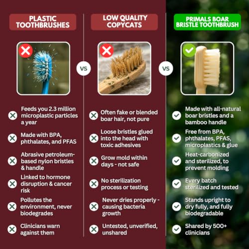 Primals 4-Pack Biodegradable Boar Bristle & Bamboo Toothbrushes - Eco-Friendly, Plastic & Nylon Free, Quick Dry, Variation: 1 Count Pack of 4