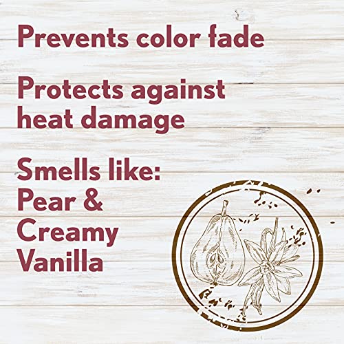 Aveeno Color Protect & Strengthen Shampoo & Conditioner Set - Blackberry & Quinoa, 12 Fl Oz Each