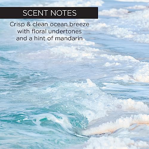 Whish Kabosu Sea Salt Body Wash for Women - Hydrating Bath & Body Gel with Natural Ingredients, Paraben & Sulfate Free, 13 Fl Oz