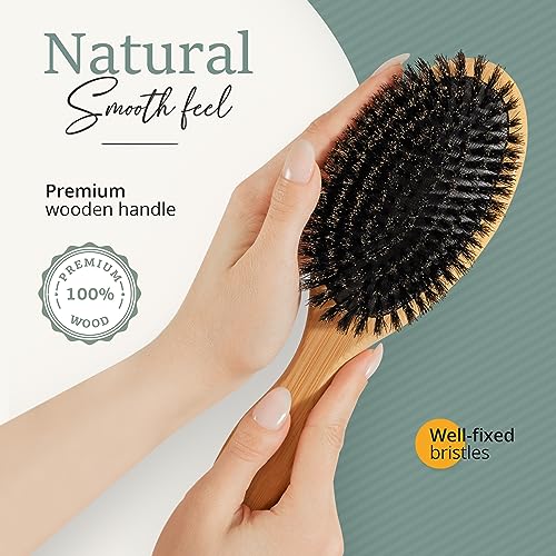 Belula Large Boar Bristle Hair Brush Set for Thin & Fine Hair - Natural Shine & Volume