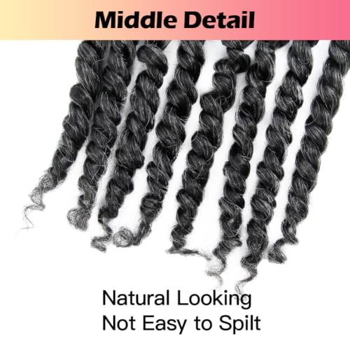 10 Inch Passion Twist Crochet Hair - Pre-twisted Salt and Pepper Set, 8 Packs, Short Braid Style with Variation of THIS listing