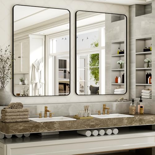 Easly Black Rectangular Bathroom Mirror 48L x 30W Wall-Mounted Vanity Mirror