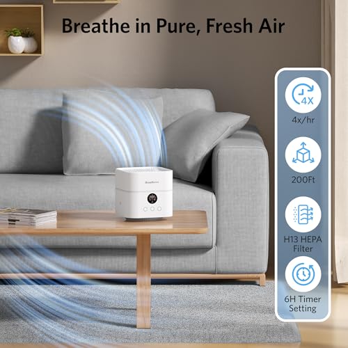 HomBreez 3-in-1 Air Purifier Humidifier Combo - Standard