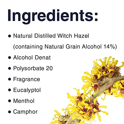 Dickinson's Witch Hazel Deep Cleansing Astringent 16 Fl Oz Pack of 3 - Natural Toner & Cleanser