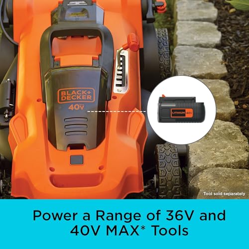 BLACK+DECKER 40V MAX 2.0Ah Lithium Ion Battery for Outdoor Power Tools - Compatible with 36V/40V, Model LBX2040, Lightweight, No Charger