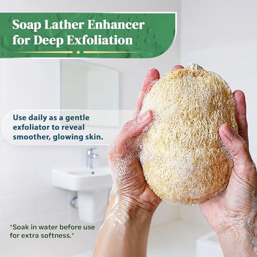4 Pack Oval Natural Loofah Sponges - Exfoliating Body Scrubber for Shower
