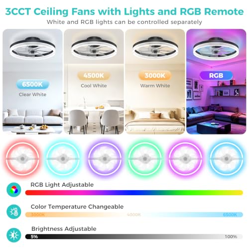 Franjulia 20-Inch RGB Low Profile Ceiling Fan with Lights & Remote - Black