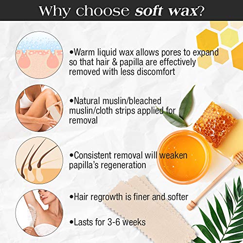 GiGi All Purpose Honee Wax - Hair Removal Wax for Face, Body & Brazilian Waxing with Beeswax Formula, 8 oz