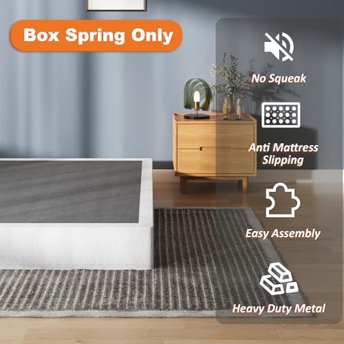 ZASHONT 9 Inch Queen Box Spring Bed Foundation - Heavy Duty Metal Support, Noise-Free, Easy Assembly