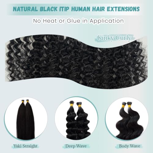 Kinky Curly I Tip Human Hair Extensions 22 Inch 50G - Natural, Thick & Full, Micro Link Method Variation #KC / 22 Inch-50G