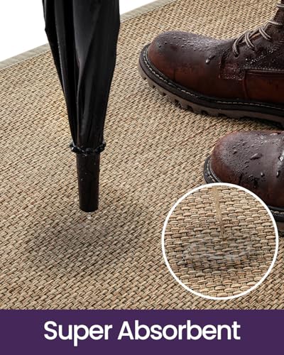 DEXI Ultra Thin Indoor Door Mat 36x56 Beige Non Slip Entrance Rug