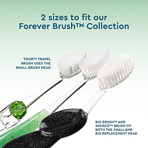 RADIUS Replacement Toothbrush Heads Medium Pack of 3 - Clear, Soft Bristles with Longer Neck