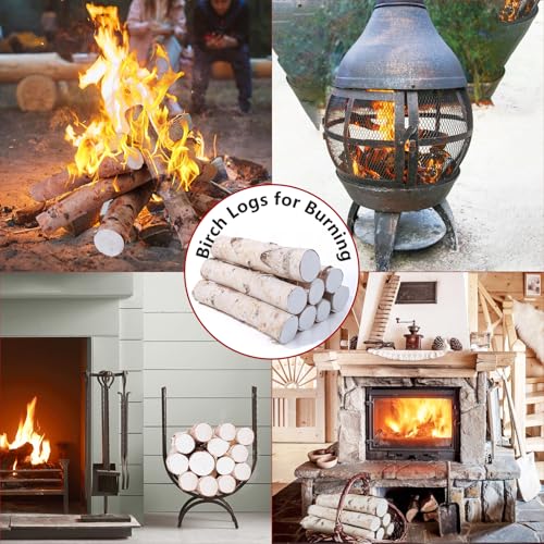 8 Pack Large Diameter Birch Logs for Fireplace Decor & Crafts - Natural Wood