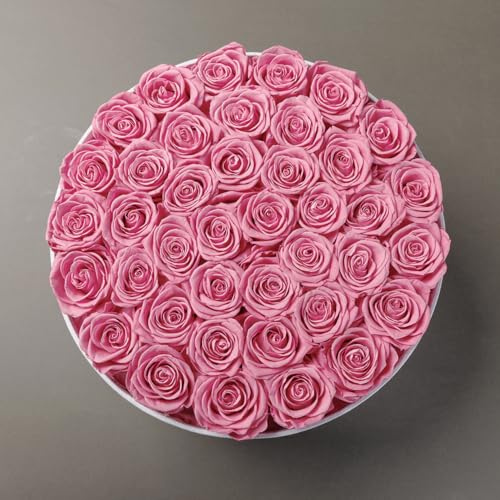 40 Preserved Roses in Velvet Box - Romantic Gift for Women, Pink