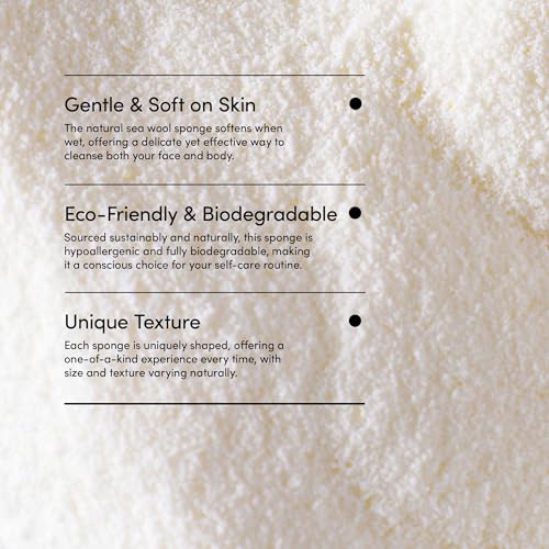 LATHER Natural Sea Wool Sponge (5-6 in) Large Exfoliating Body Scrubber
