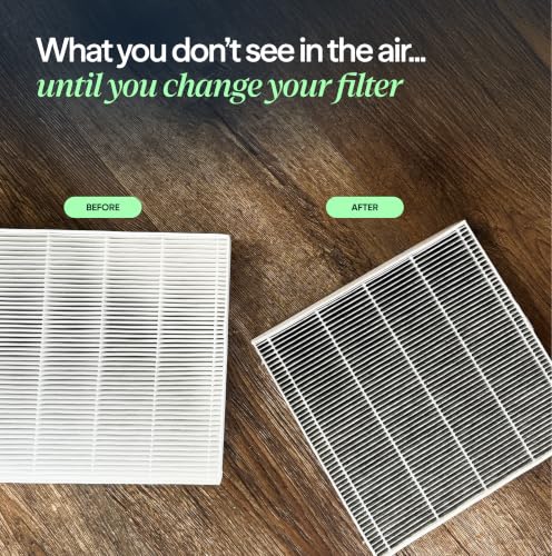 Blueair Classic 400 Series Air Purifier Particle Replacement Filter - Variation of THIS Listing