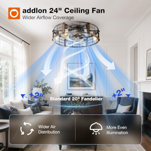 addlon 24-Inch Caged Ceiling Fan with Lights and Remote - Black Brushed Gold Variation
