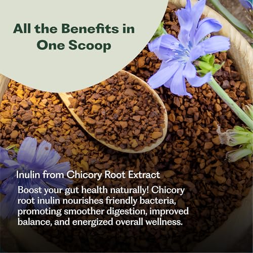 OralBiome 365 3-in-1 Chewable Probiotics for Breath, Gut & Immune Support - Vanilla Mint, 90 Servings