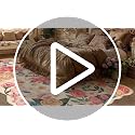 Scalloped Beige Floral Area Rug 8x10 - Washable Vintage Carpet for Living Room