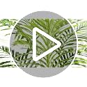 5FT Artificial Palm Tree Indoor - Realistic Fake Plant for Home & Office Decor