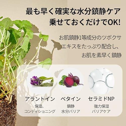 mixsoon Centella Asiatica Toner Pad-Soothing, Hydrating and Balancing Facial CICA Pads, Gentle Daily Care for Sensitive, Calm Skin 180ml / 6.08 fl.oz. (120 Sheets) Korean Glass Skin Care