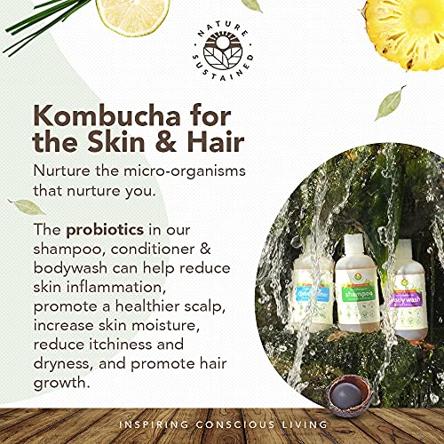 Unscented Probiotic Soapberry Body Wash, Shampoo & Conditioner Set - 3 Pack, pH Balanced for Sensitive Skin (9 Oz Bottles)
